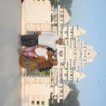 Vraj-Yatra-2014- (64)